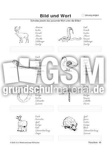 BuW Haustiere49.pdf